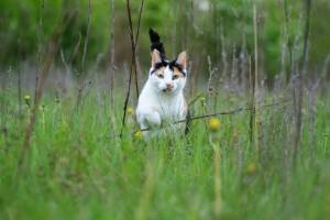 548295_464706130272260_1573877450_n