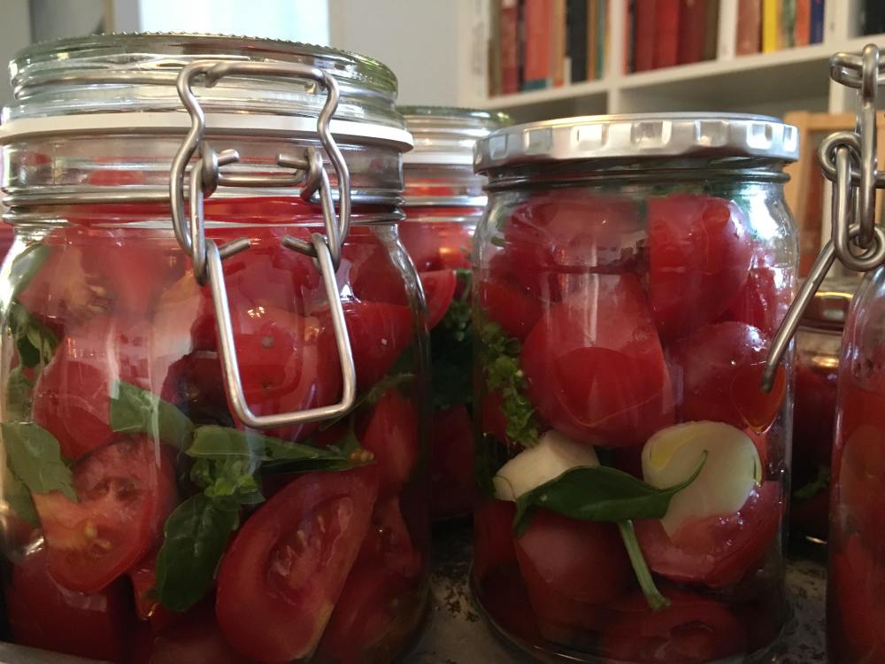 70635444_680965272387470_4588496966010273792_n